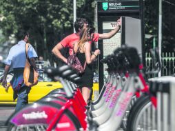 Ciclistas. Siete de cada 10 usuarios que utilizan el sistema de transporte MiBici son hombres. EL INFORMADOR / R. Tamayo