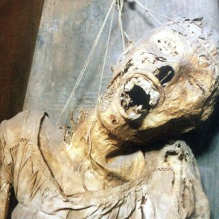 Indagan uso ilegal de féretros de Momias de Guanajuato