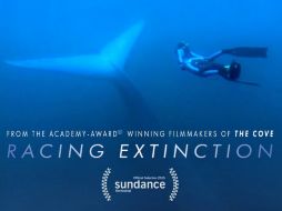 El documental se estrena este miércoles a las 21:00 horas en más de 220 países. TWITTER / @RacingXtinction