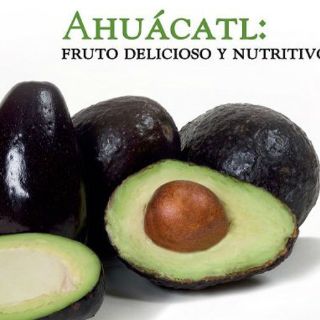 Dedican libro a descubrir valor del aguacate en la cocina mexicana