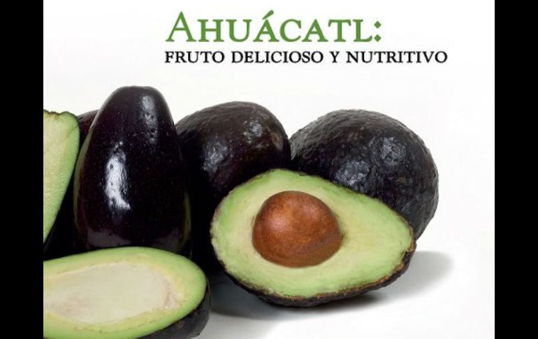 'Ahuácatl: Fruto delicioso y nutritivo' fue presentado este mediodía en el marco de la Feria Internacional del Libro (FIL). TWITTER / @GrupoHerdezMX