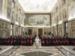 El organismo fue creado por el Papa Francisco el 24 de febrero de este año. EFE / Especial