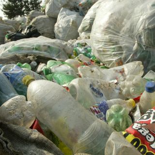 Enlistan medidas para combatir el cambio climático en casa