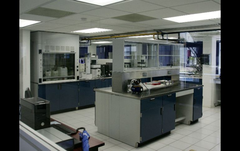 Por cada peso del PIB en el sector agroindustrial, la entidad genera 11 centavos. EL INFORMADOR / ARCHIVO