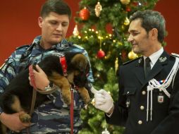 El cachorro comenzará su entrenamiento para ser miembro canino de la policía francesa. AP / P. Golovkin