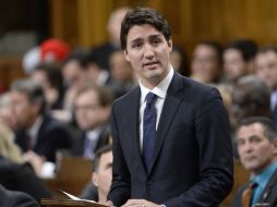 Justin Trudeau admitió en 2013 haber consumido cannabis cinco o seis veces en su vida. AP / ARCHIVO