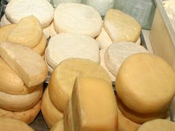 Aseguran que los lácteos en sus diferentes presentaciones deben incluirse en todas las dietas. EL INFORMADOR / ARCHIVO