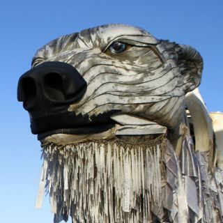 Usan código de barras de la vida para identificar especies