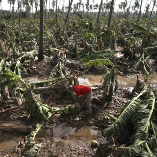 Piden transparentar recursos para productores afectados por 'Patricia'