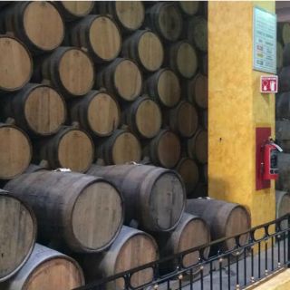 Tequileros jaliscienses cuentan con 46 envasadoras en Europa