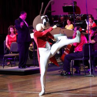 Temas de Cri-Cri serán traducidos a lenguas indígenas