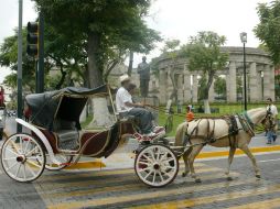 Desde hace seis años, el gobierno con servicio veterinario gratuito y cada tres meses los especialistas revisan a los caballos. EL INFORMADOR / ARCHIVO