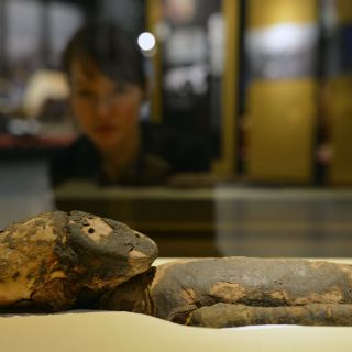 Holandés enfrenta a la justicia china por robarse una momia