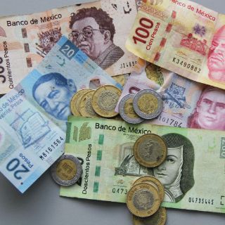 Diputados llamarán a comparecer a titular de Conasami