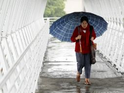 Es necesario que los adultos mayores se arropen e ingieran de manera cotidiana alimentos ricos en vitamina C. EL INFORMADOR / ARCHIVO