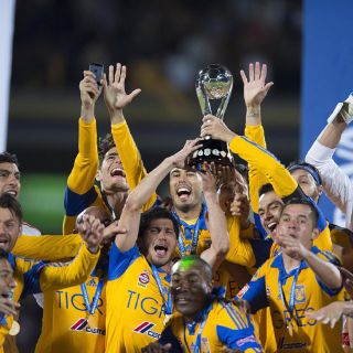 Tigres sufre pero es campeón