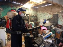 Tan solo en 2014 se reportaron 320 mil 100 casos de transmisión del virus del dengue. EL INFORMADOR / ARCHIVO