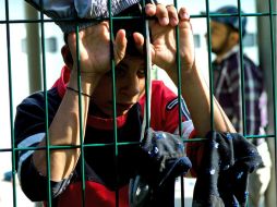 La nueva cifra evidencia la existencia de una nueva ola migratoria como la registrada en el verano de 2014. AP / ARCHIVO