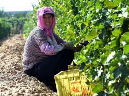 El Gobierno chino presume de haber sacado de la pobreza a más de 600 millones de personas en las últimas tres décadas. AFP / G. Chai Hin