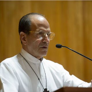 Solalinde pide reunión entre el Papa y familias de desaparecidos