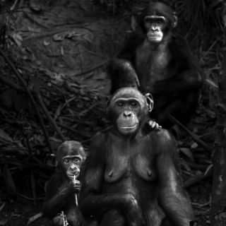 El álbum de familia de nuestros antepasados