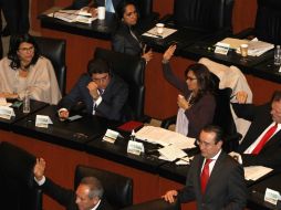 El Senado aprobó el dictamen con 83 votos a favor. SUN / A. Salinas