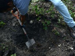 El martes, la PGR confirmó el hallazgo de 17 cuerpos en Chichihualco. EL INFORMADOR / ARCHIVO