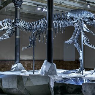 Museo de Berlín exhibe tiranosaurio rex