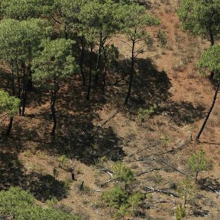La Profepa anuncia medidas contra el cambio climático