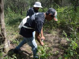 Astudillo indica que la PGR continuará a cargo de esa investigación en las fosas donde se encontraron 17 cuerpos. SUN / ARCHIVO