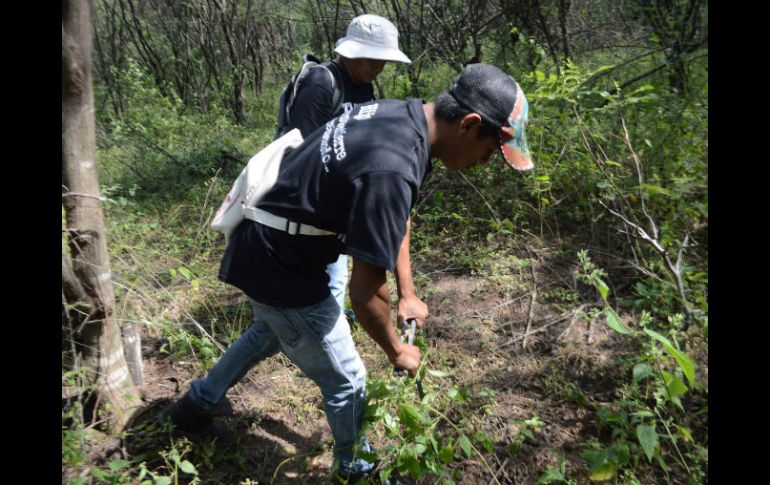 Astudillo indica que la PGR continuará a cargo de esa investigación en las fosas donde se encontraron 17 cuerpos. SUN / ARCHIVO