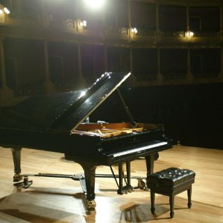 En busca del mejor pianista