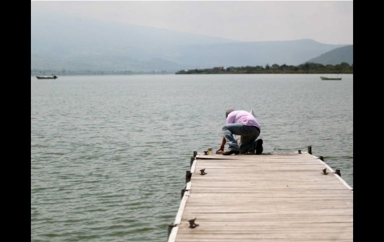 Saneamiento del agua y reconversión de las actividades agropecuarias, entre los planes para Cajititlán. EL INFORMADOR / ARCHIVO