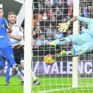 Los murciélagos de Neville no saben cazar