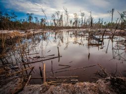 Hasta el momento no se han ofrecido datos de lo ocurrido tras el temblor. AFP / ARCHIVO