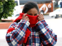 En el invierno que tiene una duración de tres meses, los días son más cortos y las noches más largas que en el resto del año. EL INFORMADOR / ARCHIVO