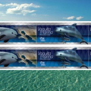 La Profepa emite estampilla postal de la vaquita marina