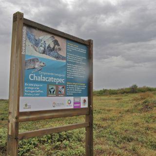 En breve, construcción de pista de aeropuerto en Chalacatepec