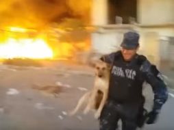 El policía sale corriendo del lugar con el perro en brazos. YOUTUBE / Policía Federal