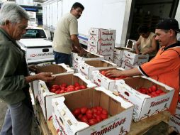 El precio del jitomate fue de los que más subió durante la primera quincena de diciembre. EL INFORMADOR / ARCHIVO