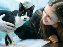 Miko fue examinado por el veterinario y reportan que su ''estado de salud es bueno''. AFP / B. Von