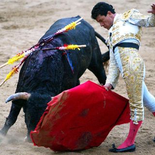 La fiesta brava se despide del 2015