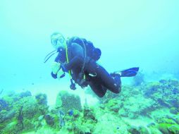Viajes. Un recorrido por la isla Cozumel, Quintana Roo. ESPECIAL / I. Beltrán