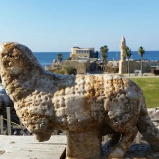 Descubren talla de un cordero en antigua iglesia de Israel
