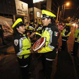 'Toritas', siempre alertas por el estrés de su trabajo