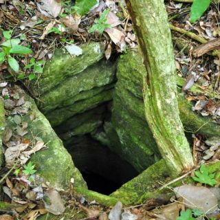 Exploran antigua obra hidráulica maya en Campeche