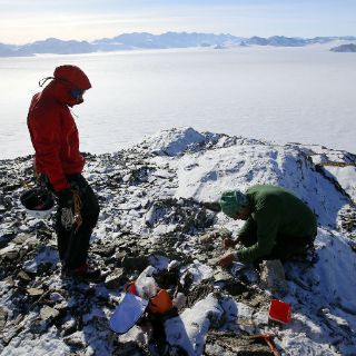 Nanopartículas de la Antártida servirían para marcar células tumorales