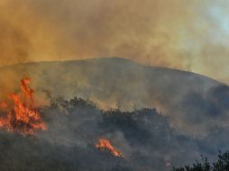 Las autoridades colombianas confirman que hasta el momento se han presentado un total de 15 incendios forestales. AP / ARCHIVO