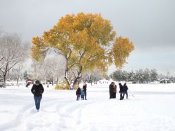 El mal clima es asociado a la quinta tormenta invernal situada en el noreste de Texas, Estados Unidos. EFE / A. Bringas
