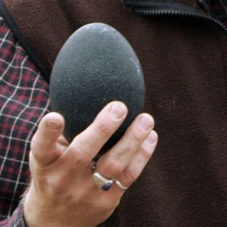 Huevo gigante, posiblemente de un gliptodonte, es hallado en Argentina